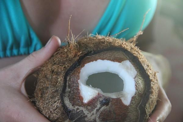 Cocco perfetto in poche mosse 