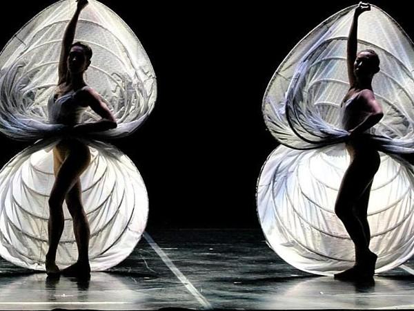 L’alchimia dei Momix 